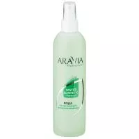 ARAVIA Professional Вода косметическая минерализованная с мятой и витаминами, 300мл./16